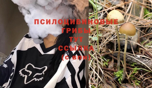 MDMA Белокуриха