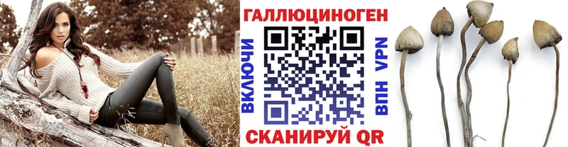 blacksprut ТОР Верхний Тагил Галлюциногенные грибы GOLDEN TEACHER